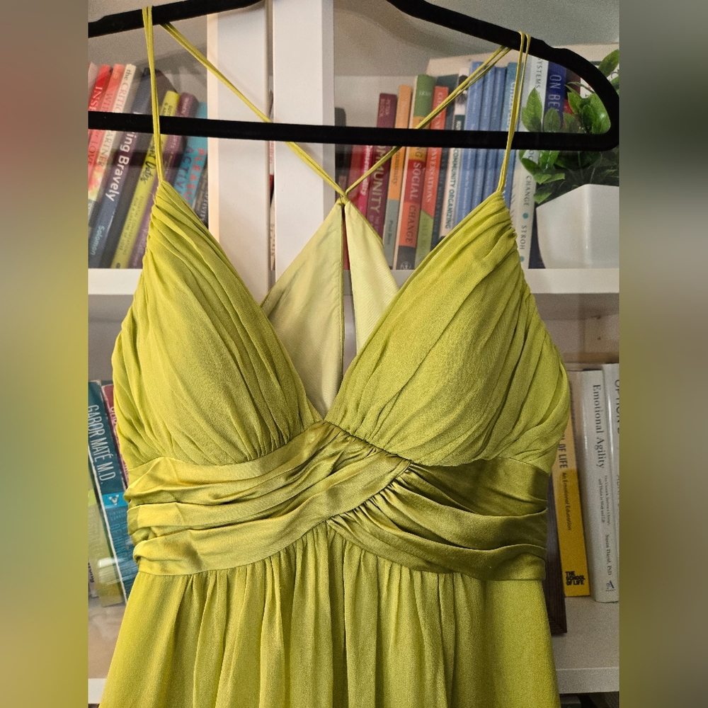100% Silk Knee Length Cocktail Dress with Fitted Bodice - Picture 3 of 14
